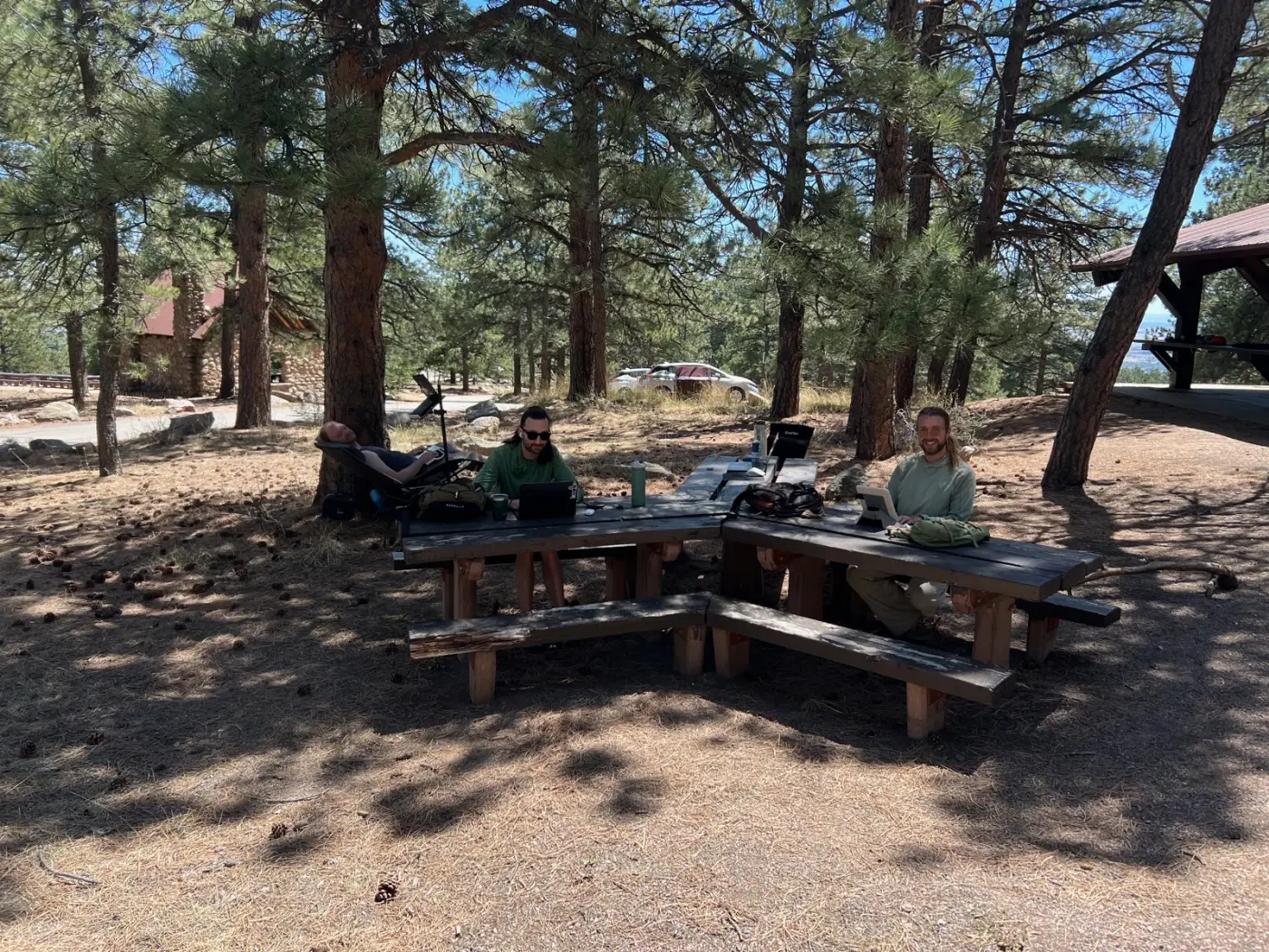 Two people working on laptops at a picnic table beneath pine trees